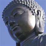 vnvn-web-design-buddha